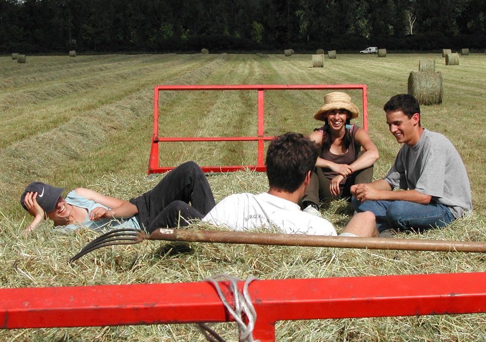 Formação Obrigatória para Jovens Agricultores I PDR2020