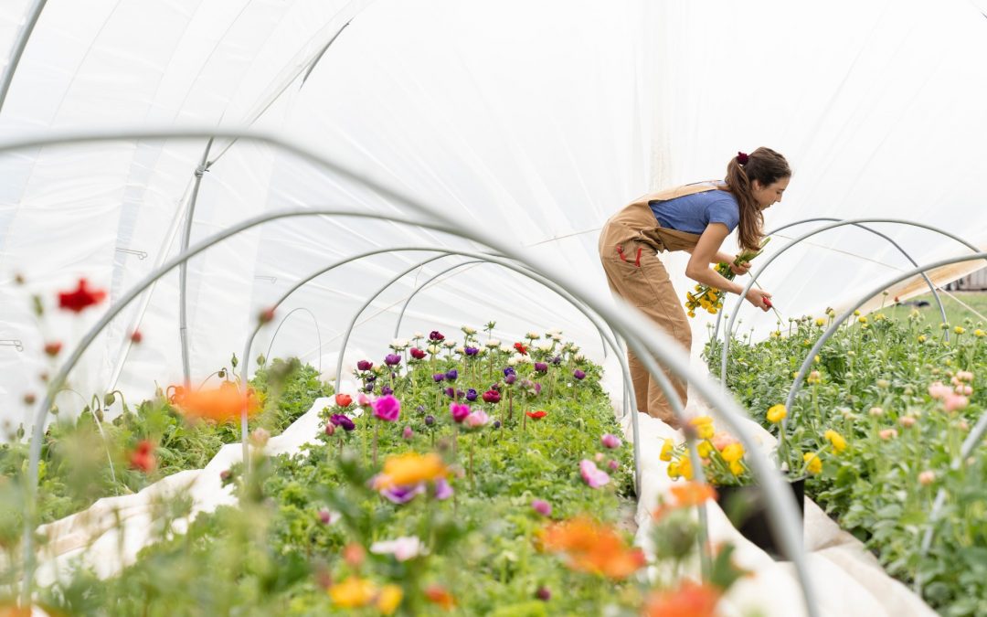 Curso de Jovens Agricultores