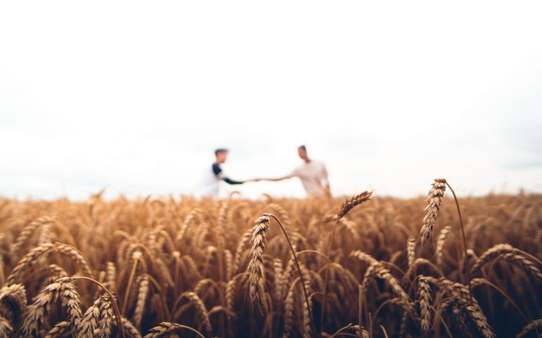 Gestão da Empresa Agrícola