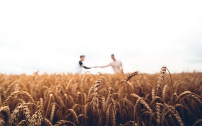 Técnicas Socorrismo na Exploração Agrícola