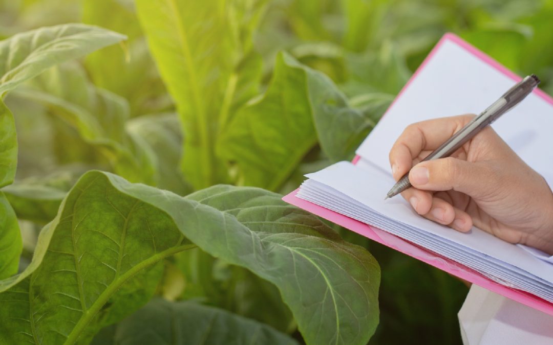 Análise de Investimentos Agrícolas