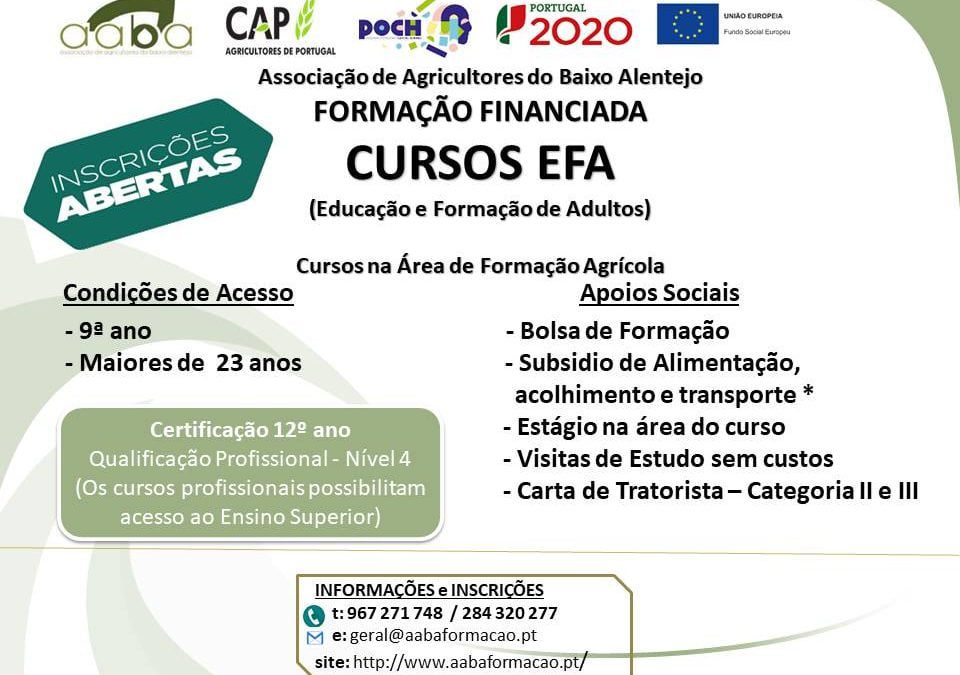 Cursos de Educação e Formação de Adultos